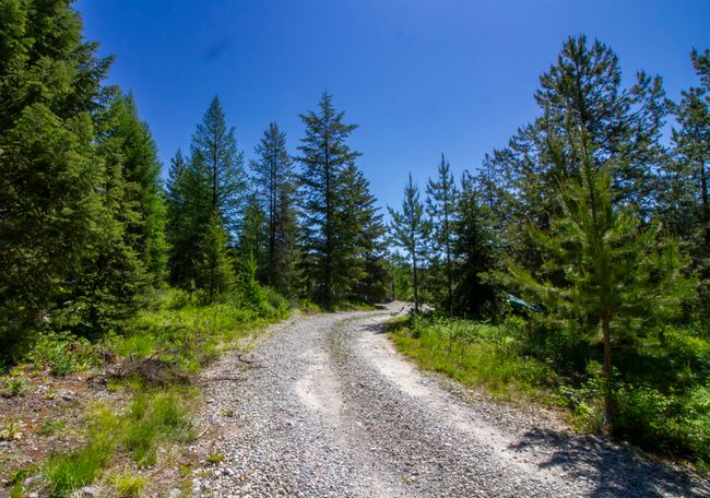 View of driveway leading into the property featuring a forest view | Image 21