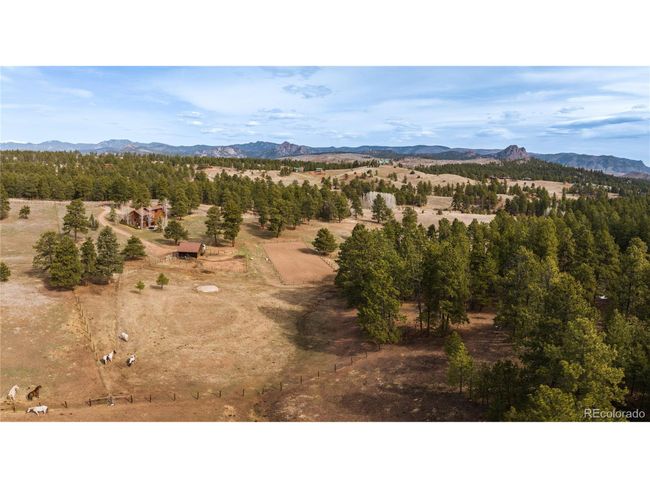 21505 Spring Creek Rd, House other with 3 bedrooms, 3 bathrooms and null parking in Buffalo Creek CO | Image 43