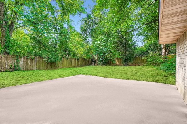 Backyard | Image 18