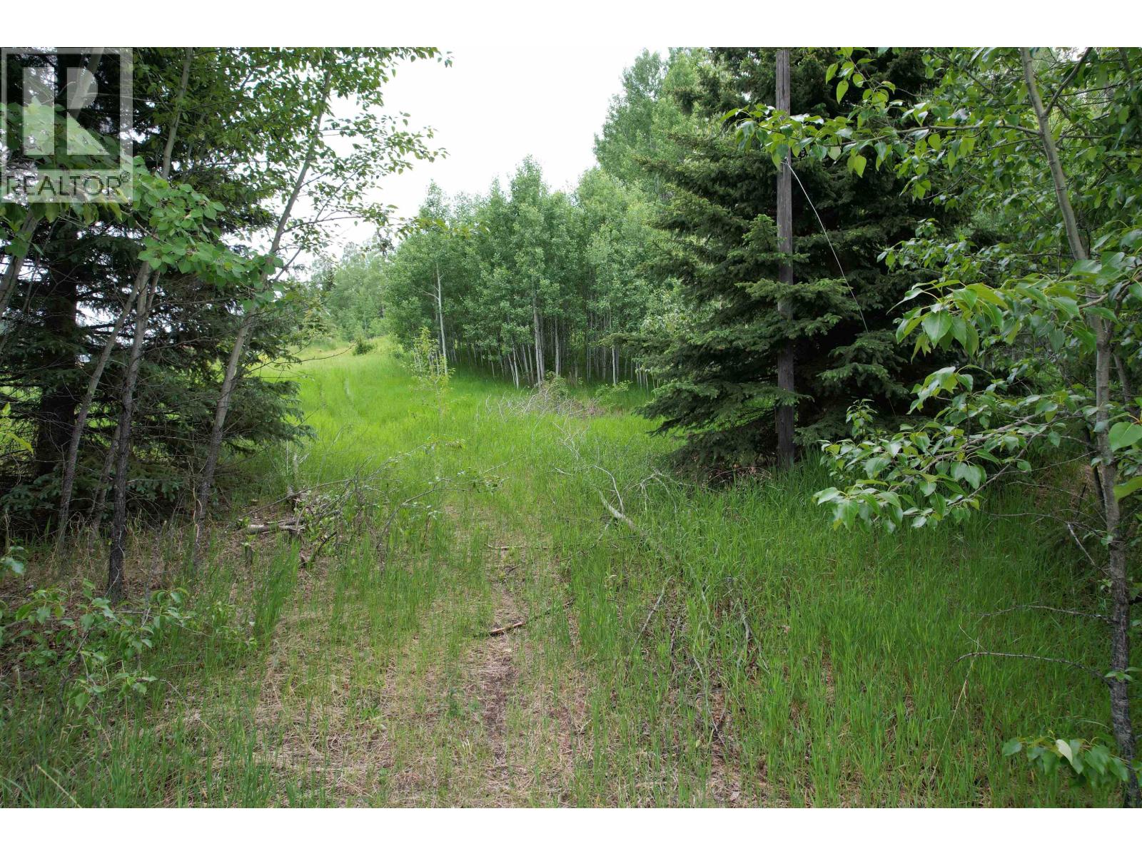 Land in Bridge Lake 3
