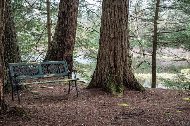 333 Green Bridge Rd, House other with 3 bedrooms, 2 bathrooms and null parking in Old Forge NY | Image 19
