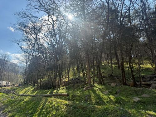 940 Riley Creek Rd, Whitleyville, TN, 38588-7017 | Card Image