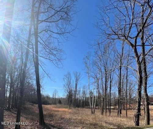 0 Austin Rd, Lake Cormorant, MS, 38641 | Card Image