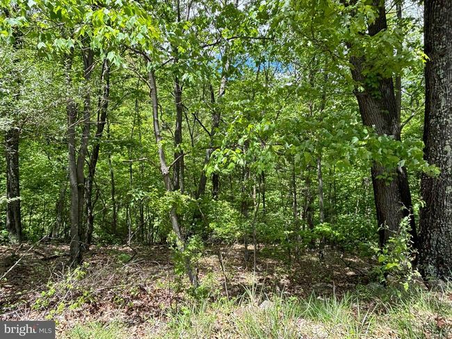 LOT 4 Yost Rd, Home with 0 bedrooms, 0 bathrooms and null parking in New Creek WV | Image 20