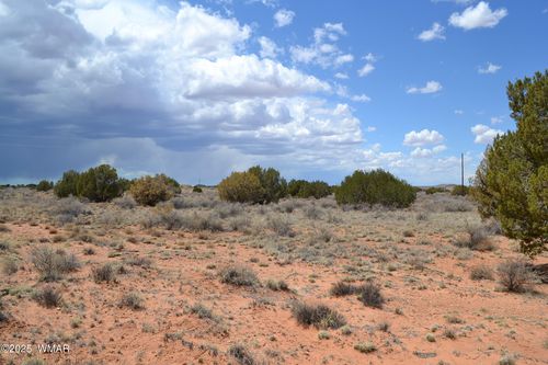Lot 020D E 24th North Street, Snowflake, AZ, 85937 | Card Image