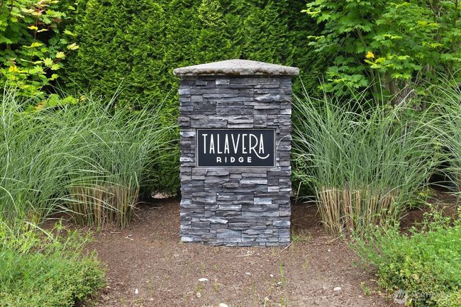 Welcome to Talavera Ridge! | Image 38