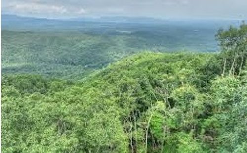 Lot 34 Utana Bluffs Trl, Ellijay, GA, 30540 | Card Image