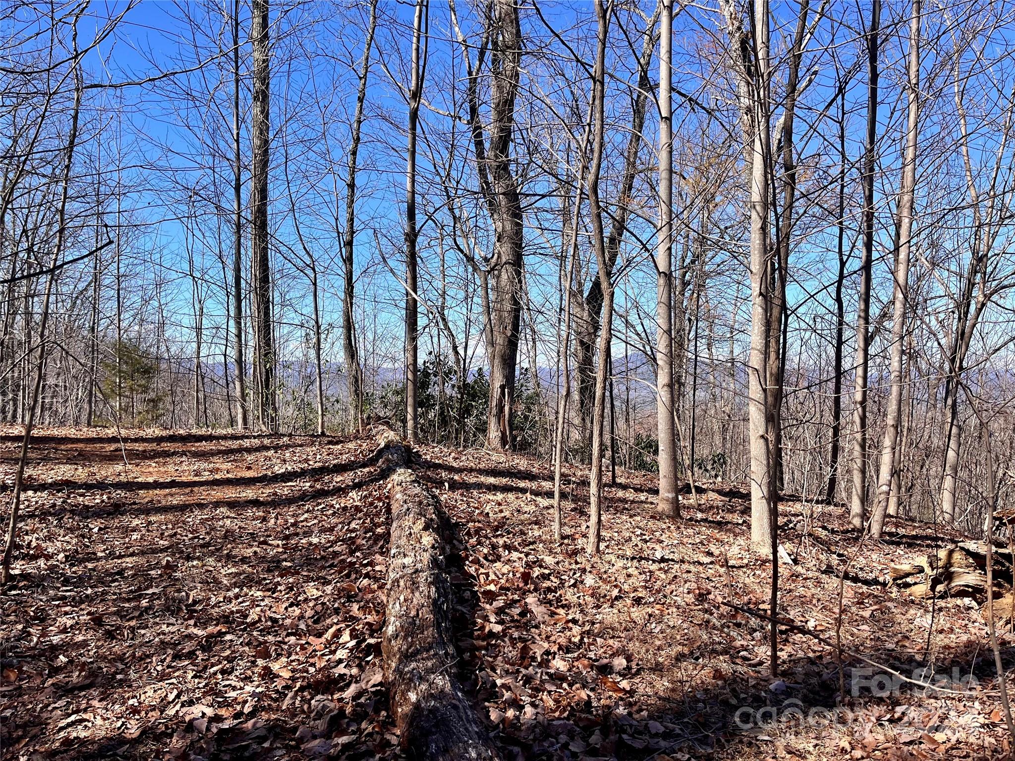 Land in Marion 4