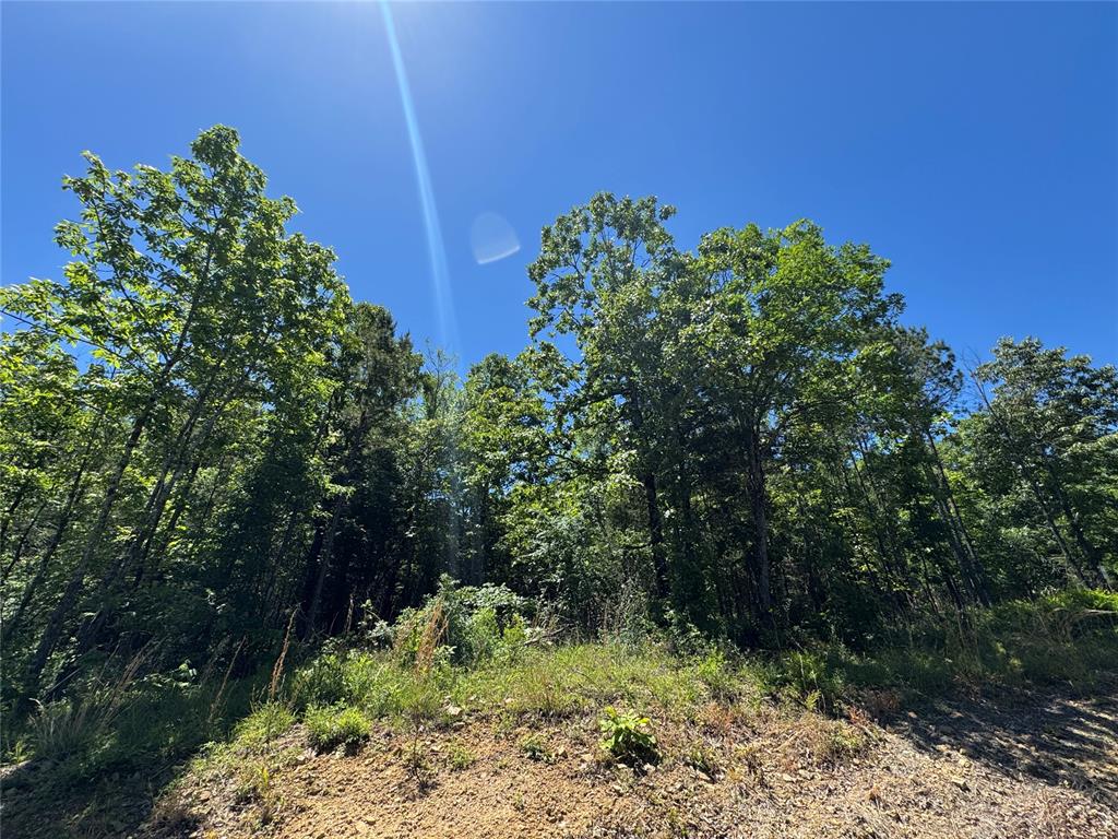 Land in Watson 4