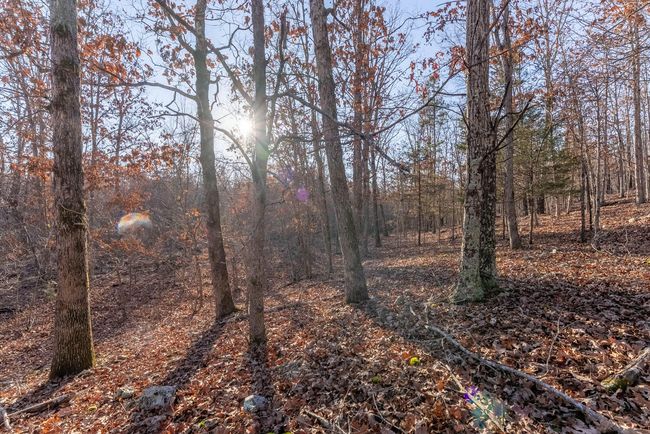 23 Acres007 | Image 9