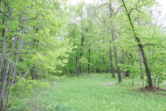 2350 Lake Shore Blvd, House other with 2 bedrooms, 1 bathrooms and null parking in Wahkon MN | Image 35