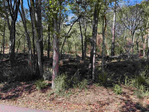 00 Cozy Acres, Mountain Pine, AR, 71956 | Card Image