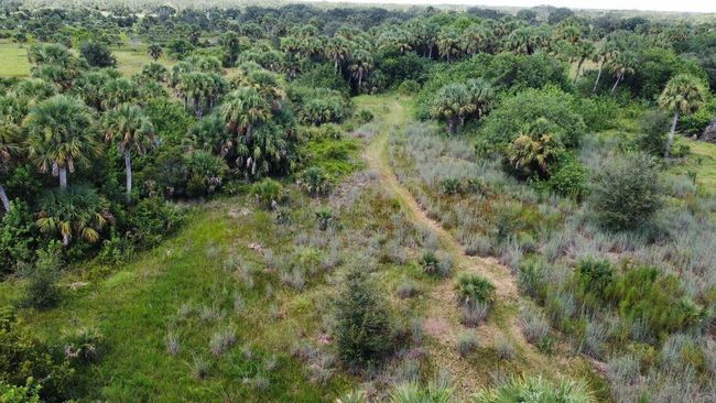 1303 Cabbage Ln, Home with 0 bedrooms, 0 bathrooms and null parking in Okeechobee FL | Image 20