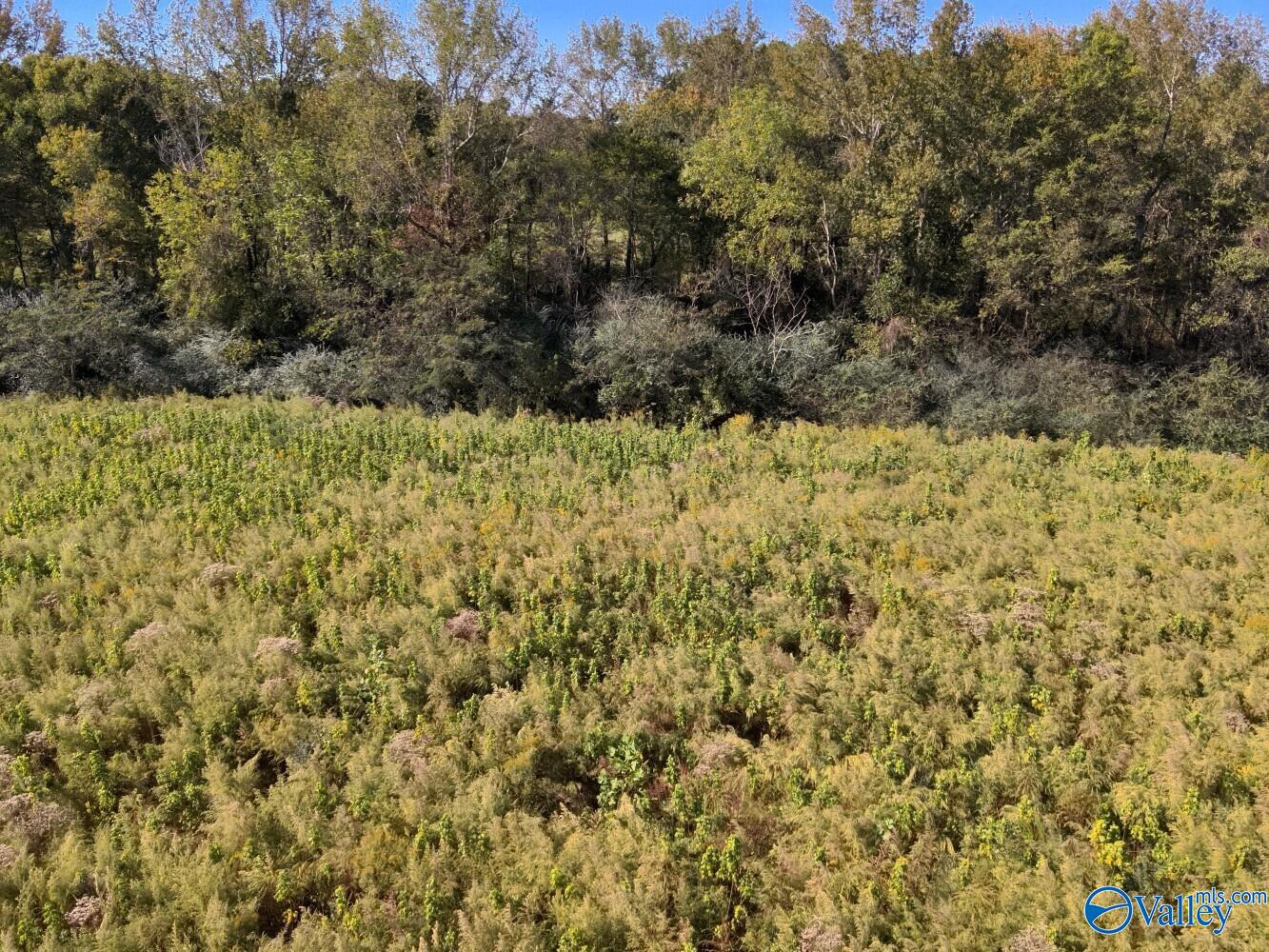 20 Acres Murphee Road, For Sale in Eva - eXp Realty