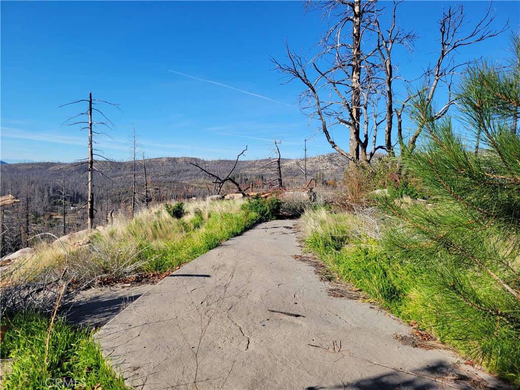 Land in Berry Creek 2