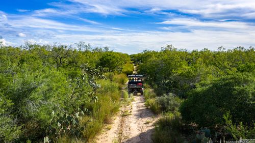 TBD County Road 243, Concepcion, TX, 78349 | Card Image