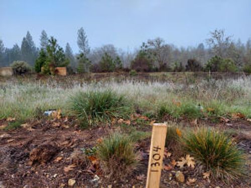 1304 Green Valley Dr, Cave Junction, OR, 97523-9071 | Card Image