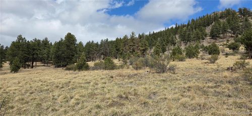 62430 Us Highway 285, BAILEY, CO, 80421-2195 | Card Image