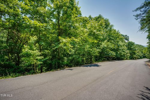 4 Walnut Bend Dr, Whitesburg, TN, 37891 | Card Image