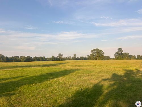 132 Miller County 434, Fouke, AR, 71837 | Card Image