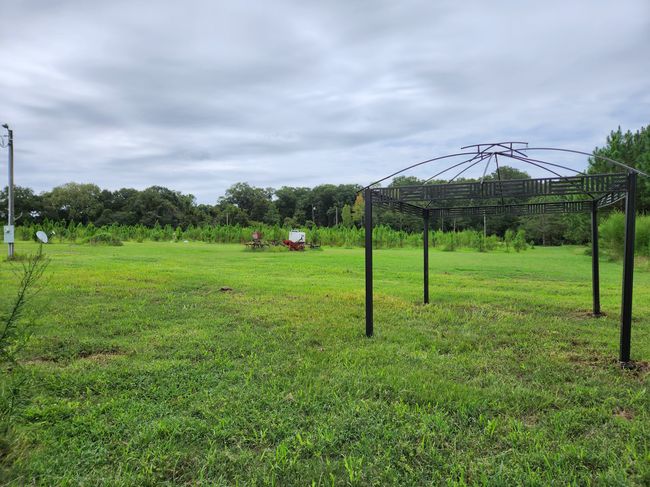 2250 Enon Rd, House other with 3 bedrooms, 2 bathrooms and 3 parking in COOLIDGE GA | Image 40