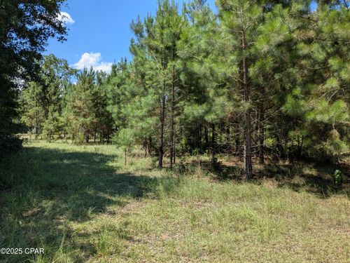 0 Carters Mill Rd, Marianna, FL, 32446 | Card Image