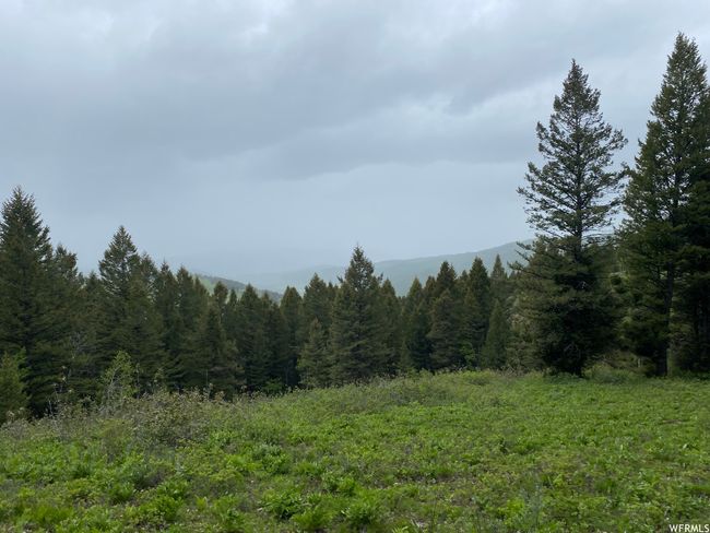 View of local wilderness featuring a mountain view | Image 55