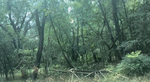 No Address Imperial Drive, Austin, TX, 78725 | Card Image