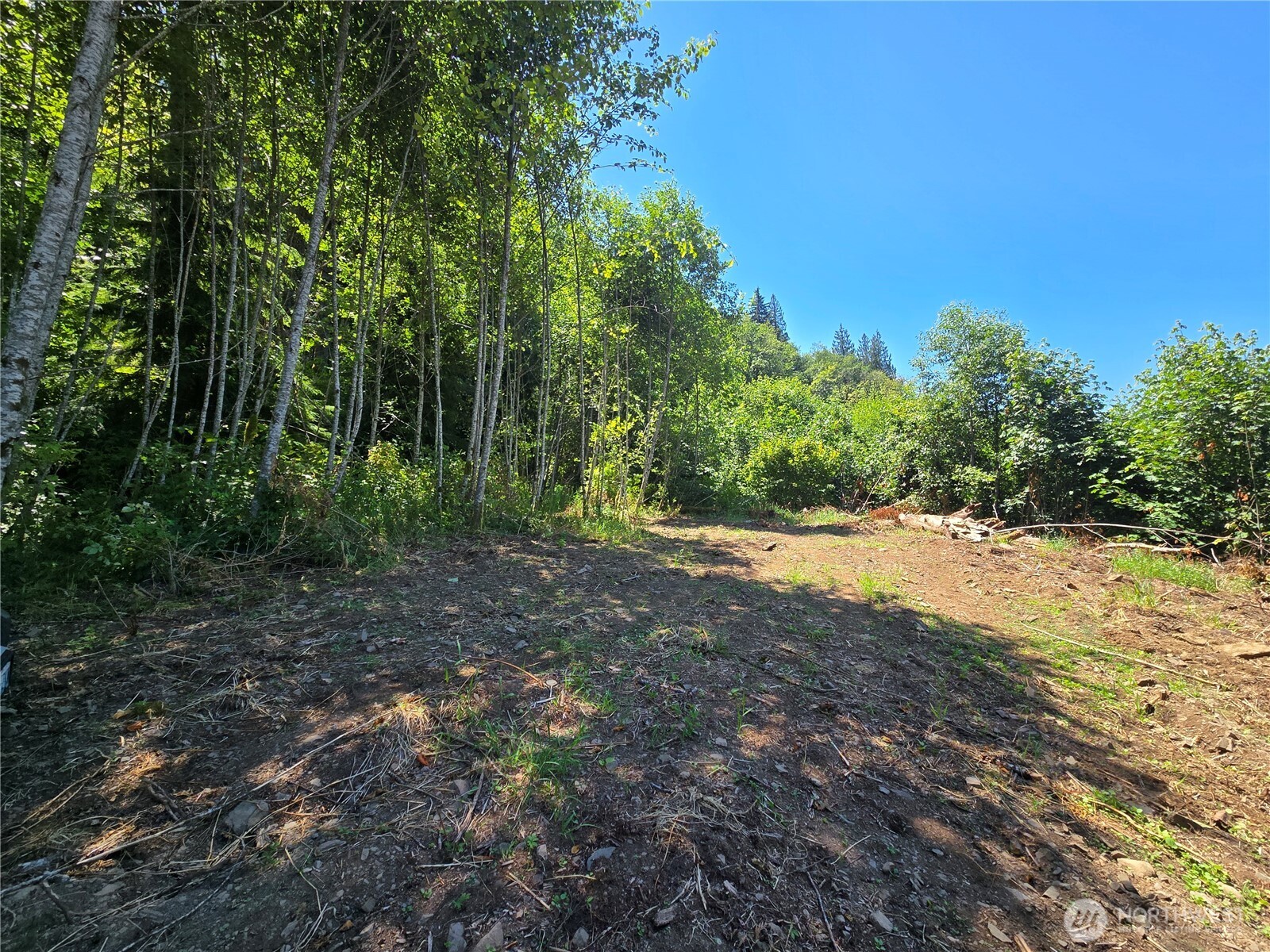 Land in Morton 5