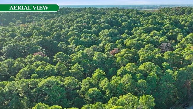 0 Makaha Dr, Home with 0 bedrooms, 0 bathrooms and null parking in Bastrop TX | Image 7