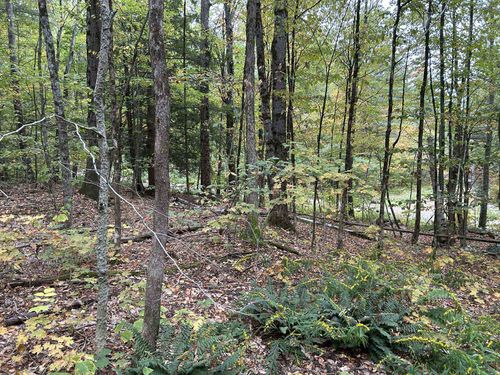 0 Crane Mountain Rd, Townshend, VT, 05353 | Card Image