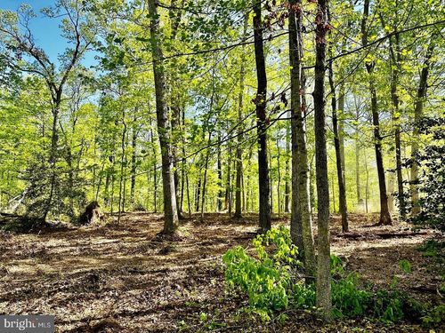 000 Lot 4 Tapps Ford Rd, AMISSVILLE, VA, 20106 | Card Image