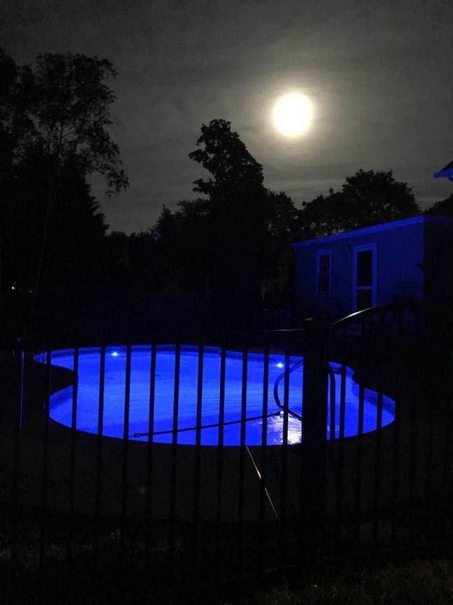 32 Adams Ave, House other with 5 bedrooms, 2 bathrooms and null parking in Rochester NH | Image 33