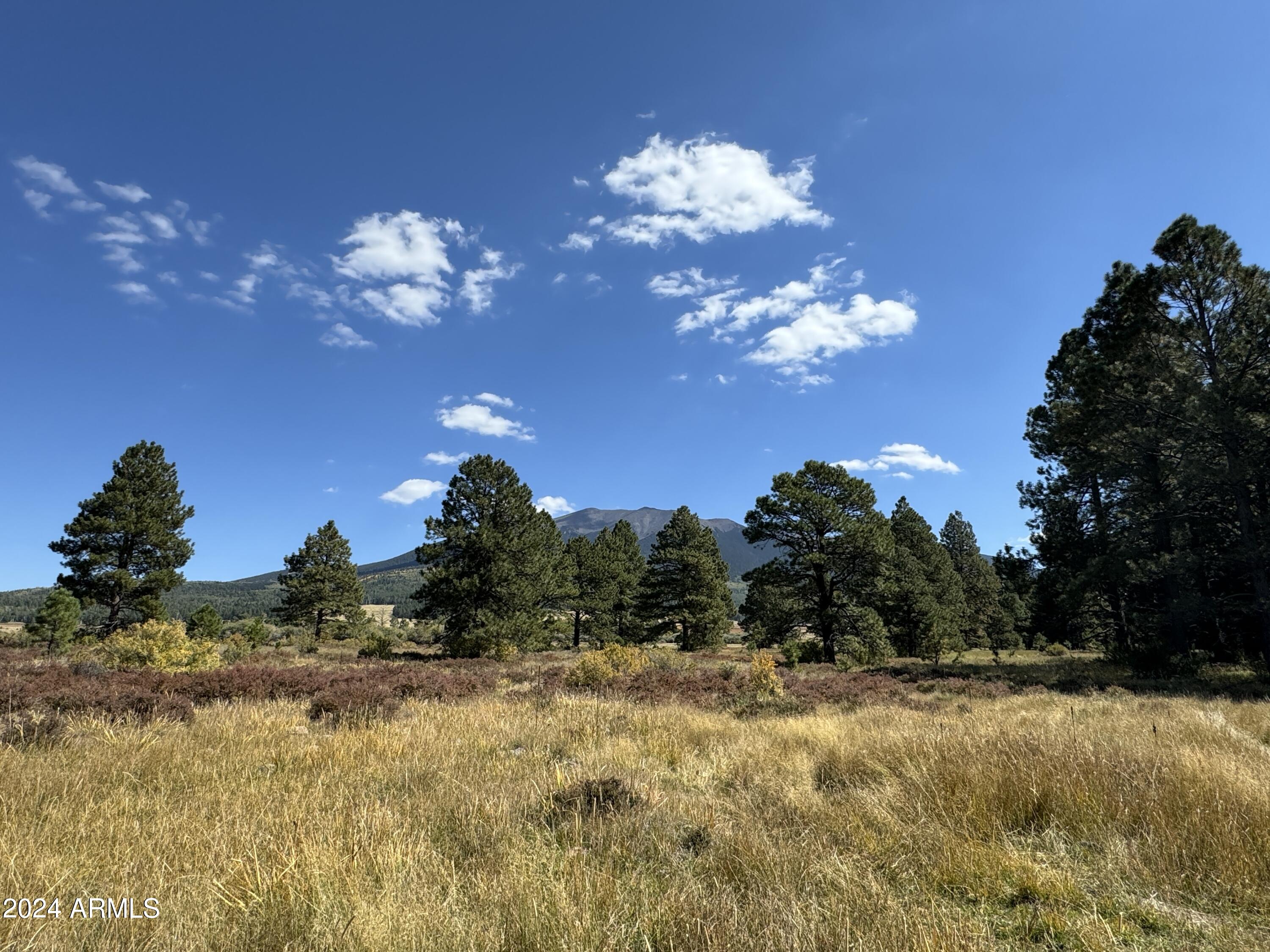 Land in Flagstaff 4