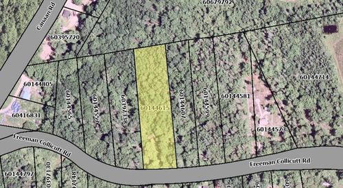 41 Freeman Collicutt Rd, Canaan, NS, B0J1J0 | Card Image