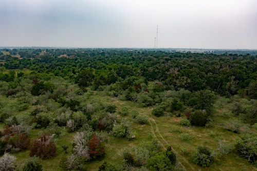 3 Private Road 4601, Waelder, TX, 78959 | Card Image