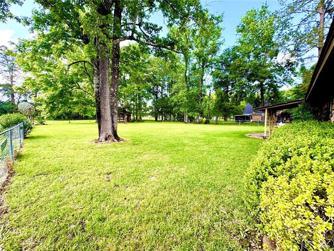 Backyard | Image 23