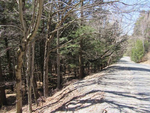 0 Stratton Ridge Rd, Bondville, VT, 05340 | Card Image