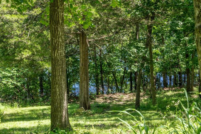 Table Rock Lake Waterfront | Image 32