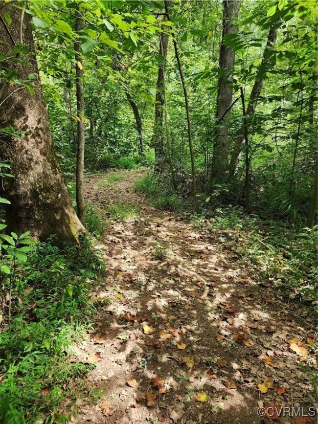 View of local wilderness | Image 10