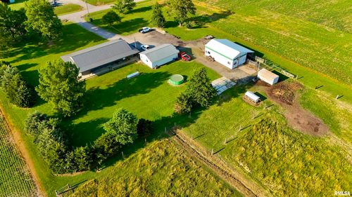 232 Palm Ln, Flora, IL, 62839-3018 | Card Image