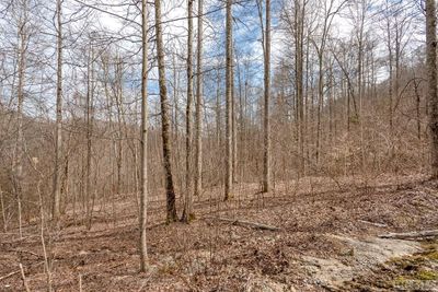 Lot 60 Pilot Knob Road, Home with 0 bedrooms, 0 bathrooms and null parking in Glenville NC | Image 3