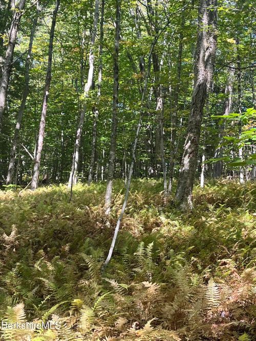 0 Central Shaft Rd, North Adams, MA, 01247 | Card Image