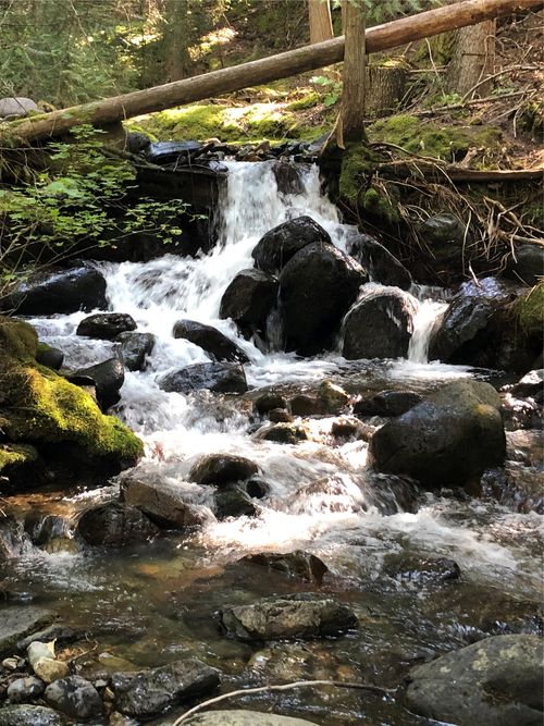 4144 Indian Creek Rd, Eureka, MT, 59917 | Card Image