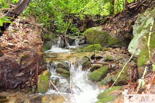 Lot HS Speckled Feather Pass, Sapphire, NC, 28774 | Card Image