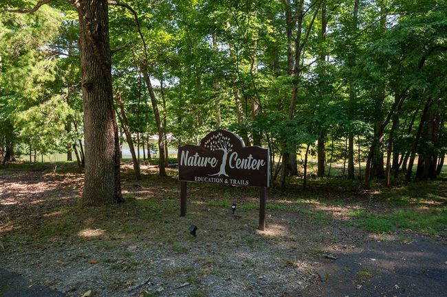 415 Frost Pine Cir, Home with 4 bedrooms, 3 bathrooms and 2 parking in Jasper GA | Image 65