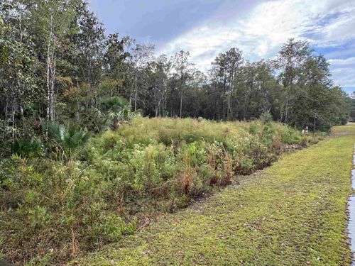 44 Water Oak Way, ST MARKS, FL, 32355 | Card Image