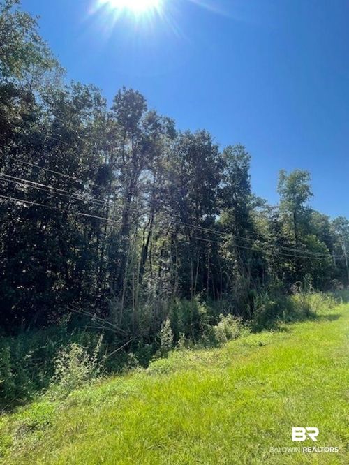 Lot 6 Bellefontaine Blvd, Theodore, AL, 36582-7410 | Card Image