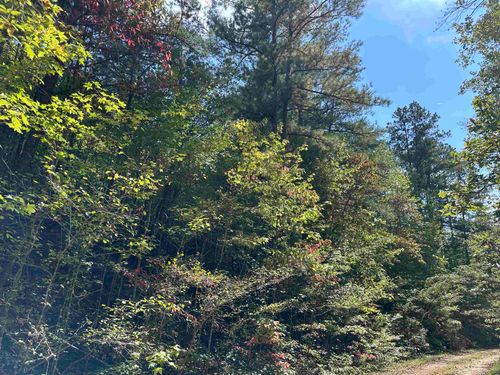 0 Co Rd 3034, Double Springs, AL, 35553-DO | Card Image