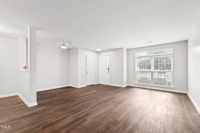 Bright natural light | Image 5